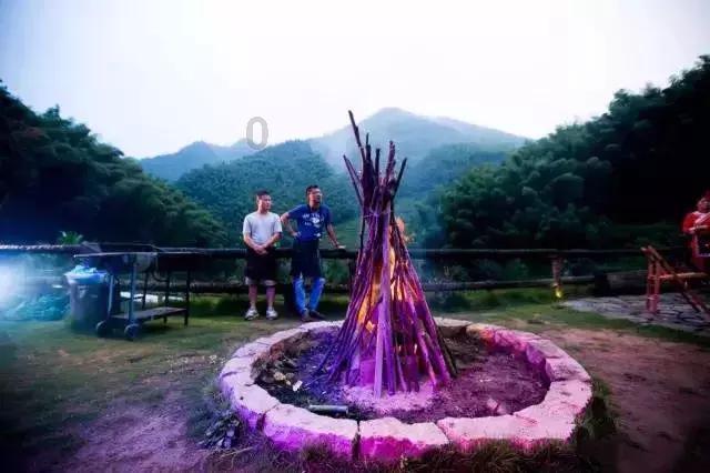 大花园植物逃生